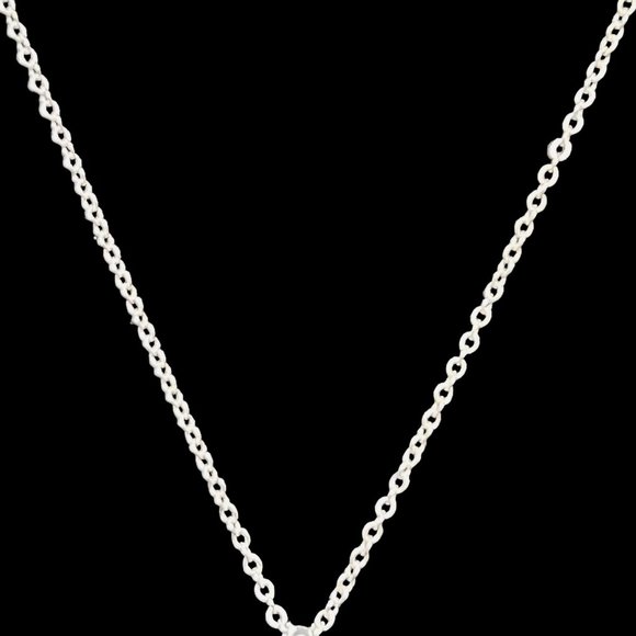 Silver Tone Cable Chain Necklace With Clear Rhinestone Paw Print Pendant (4700) - Picture 4 of 6